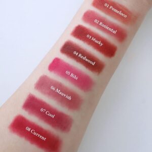 Bộ sưu tập Blur Fudge Tint còn có 13 màu son khác nhau