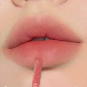 BF 01 Cam San Hô – Son Romand Blur Fudge Tint